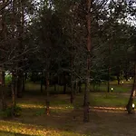 Noorendik