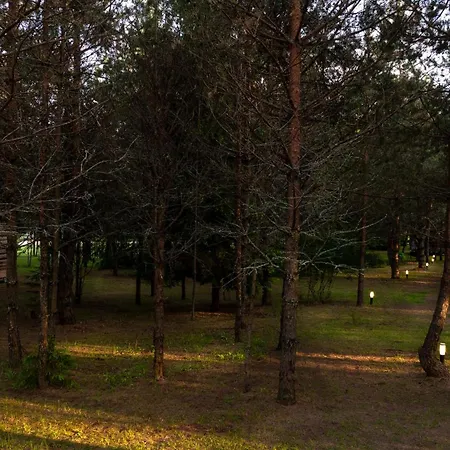 Noorendik